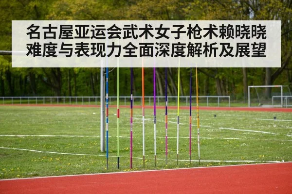 名古屋亚运会武术女子枪术赖晓晓难度与表现力全面深度解析及展望